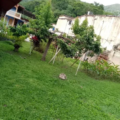 Venta Casa Quinta Economica Terreno Propio El Limon Las Mayas Estado Aragua 022js