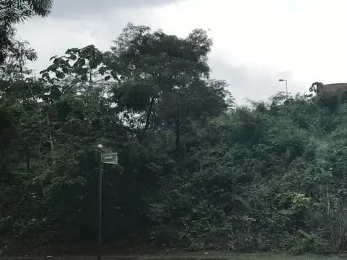 Marina Vende Terreno En Terrazas Del Country, Guataparo, Valencia. Plt-289 (sólo Clientes)