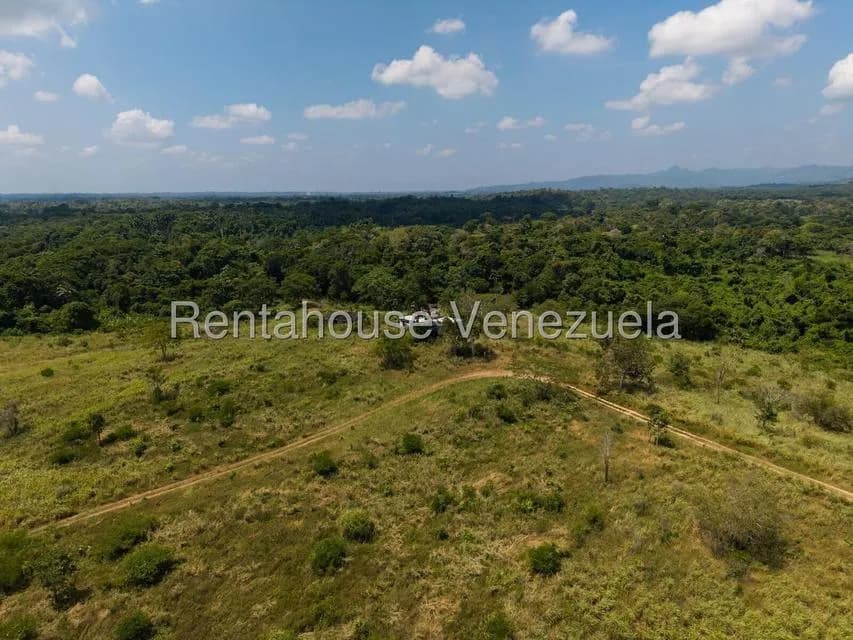 Terreno (Finca) en Venta en Higuerote, Miranda
