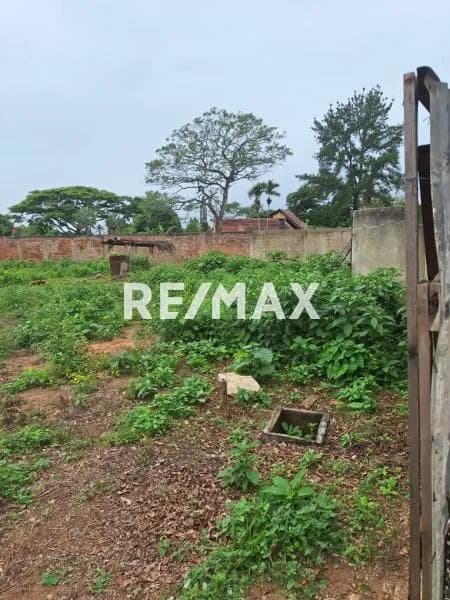 Venta de Terreno en el Solar