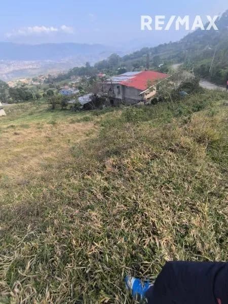 Terreno. Venta. Abejal de Palmira