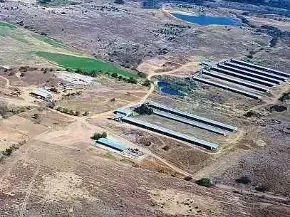 Terreno En Venta Granja De Producción D Huevos Negociable Rm :25-13684
