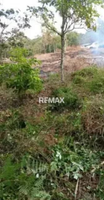 Se vende terreno en lobatera
