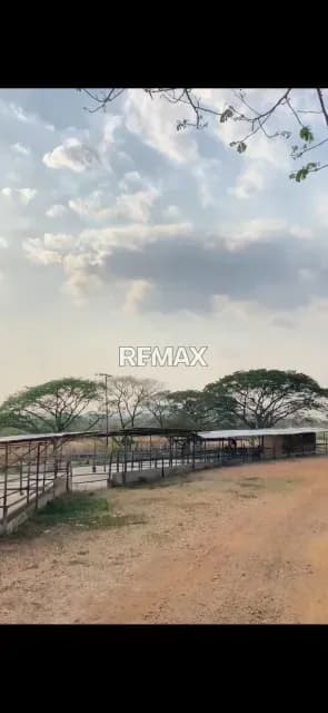 Venta finca en Tinaco Edo. Cojedes, de 170 hectáreas Todo Incluido
