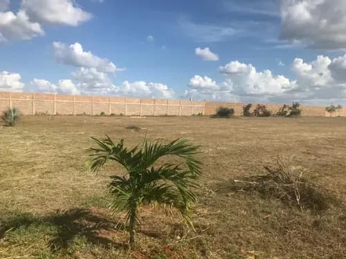 Terreno En Venta En El Tigre,zona Industrial. Yl