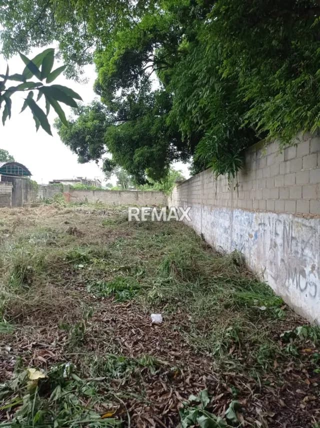 En Venta terreno , av principal las cocuizas