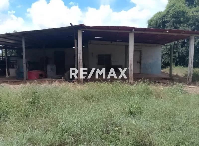 Venta de finca 315 ha en sector caño Benito Cojedes