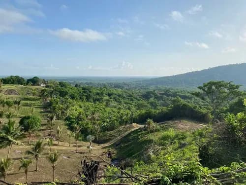 En Venta Terreno En Buena Vista Sanare
