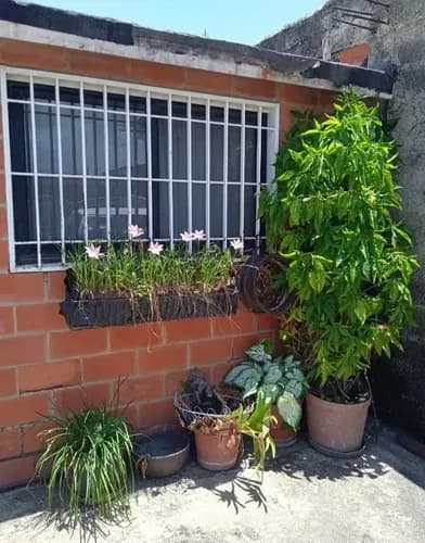 Dh Ofrece En Venta Solo Para Clientes Casa En Bella Florida Los Caobos Valencia Carabobo