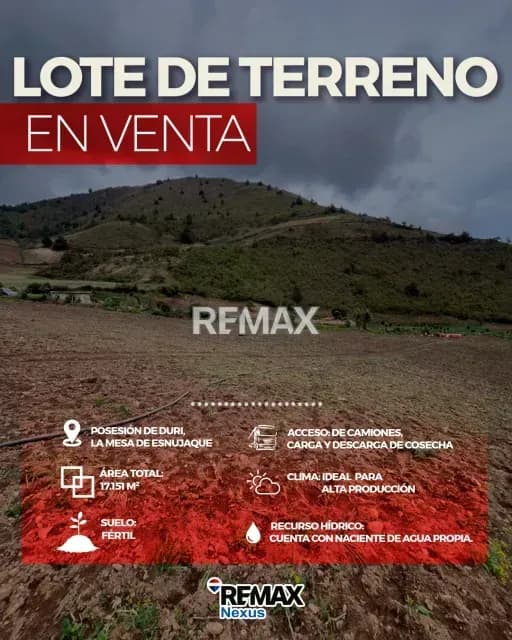 TERRENO AGRICOLA EN VENTA CON ALTO POTENCIAL