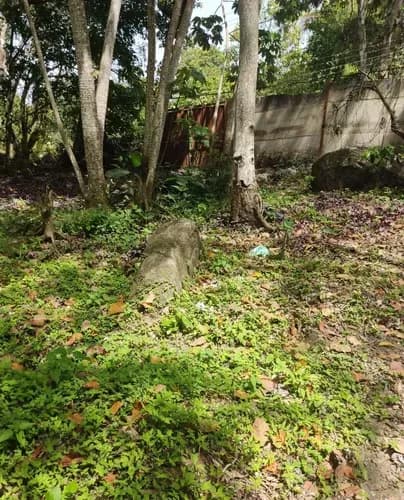 Terreno En Venta. Urb Palmarito. Maracay