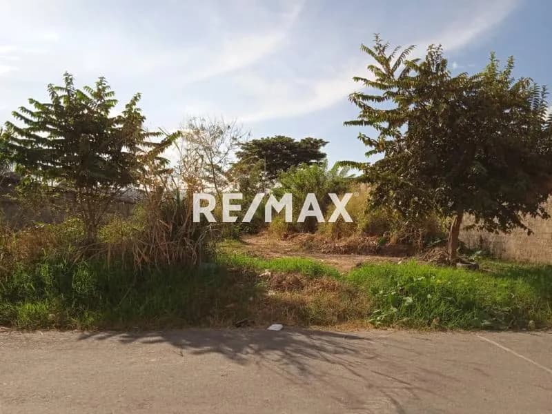 TERRENO EN VENTA, SECTOR LOS TAMARINDOS, MUNICIPIO SAN DIEGO, ESTADO CARABOBO