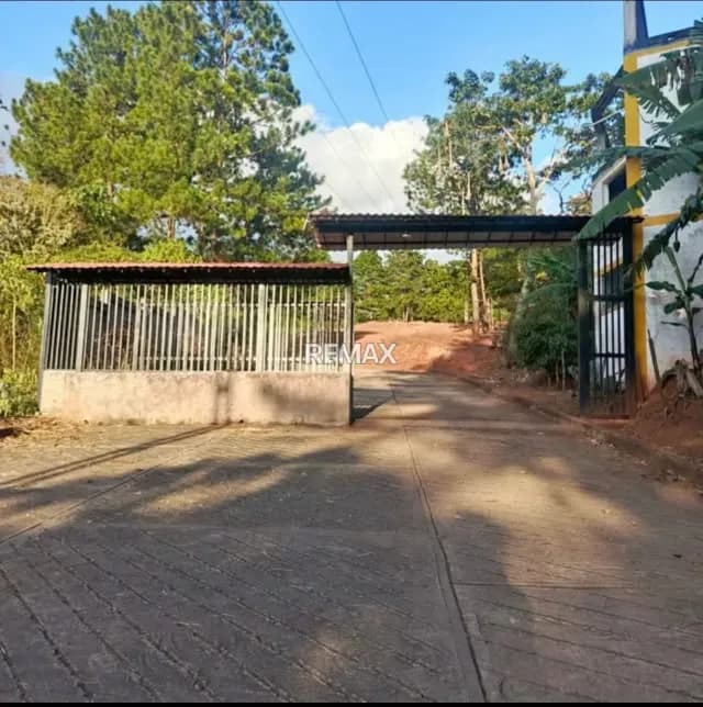 Terreno en la Cueva del Oso