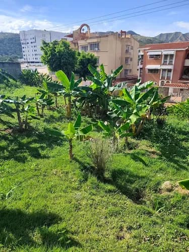 En Venta Terreno Residencial Urbanizacion El Bosque, Valencia Carabobo