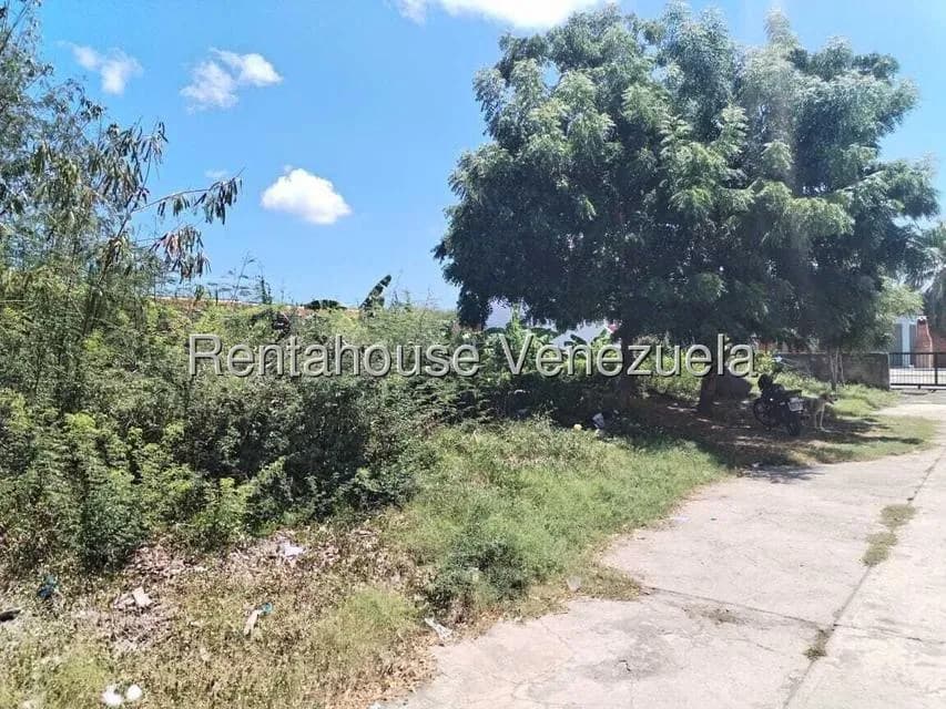 Terreno (Comercial) en Venta en Flamingo, Falcon