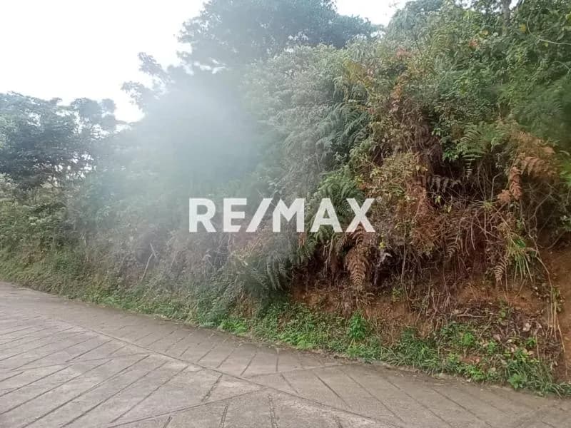 Terreno en Capacho SantabRita de Miraflores