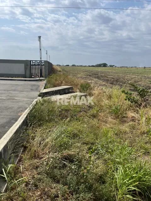 Disponible para la venta hectáreas en autopista José Antonio Páez