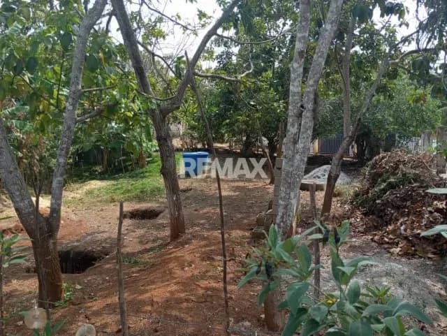 Terreno con árboles frutales en el Manzano