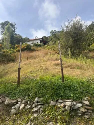 Terreno En Venta En La Colonia Tovar