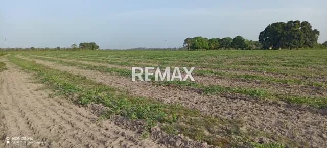 Se Vende pequeña Finca Agricola de 22 Has, Carretera Nacional el Sur, Vía Los Corositos, Sector Caruto, Monagas.