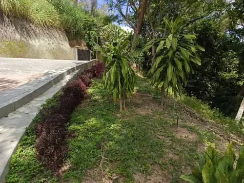 Lote Residencial En Venta - Colinas De Carrizal.