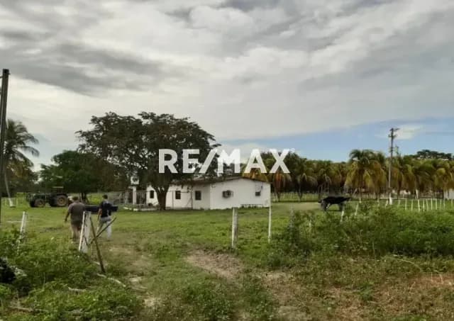 Venta Finca Ubicada en Cojedes Ubicada Vía Lagunitas a 5 minutos Municipio Ricaurte a 30 Min de San Carlos