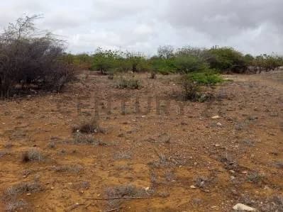 Terreno av. Juan Bautista Arismendi, Isla de Margarita