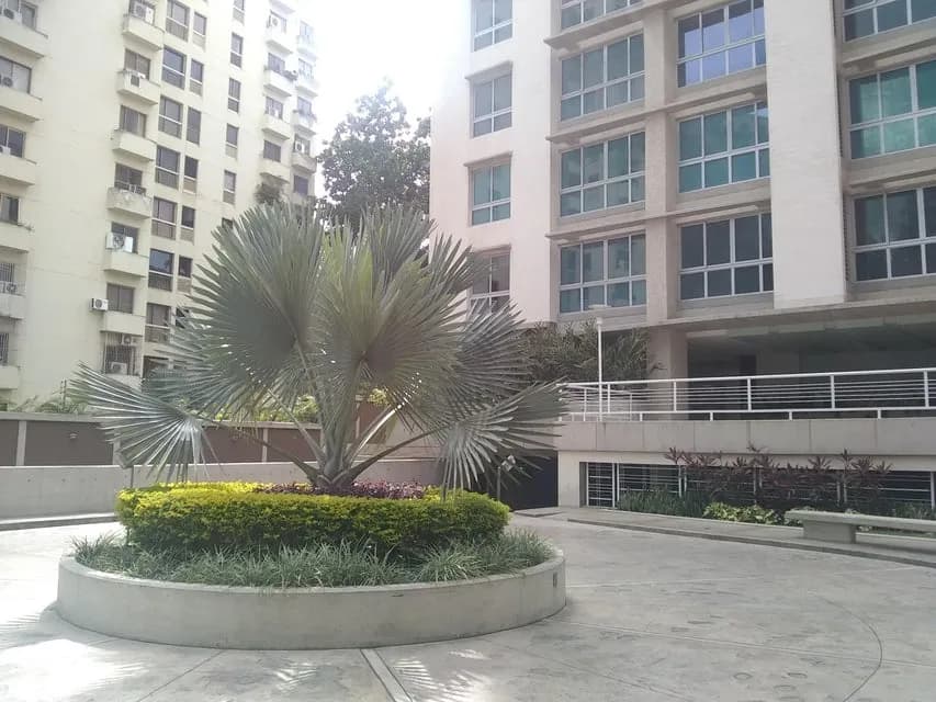 Apartamento (1 Nivel) en Venta en Campo Alegre, Distrito Metropolitano