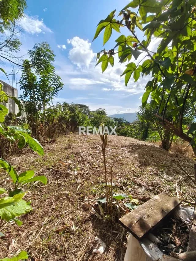 VENTA DE PARCELA CALLE 1 DE PALO GORDO
