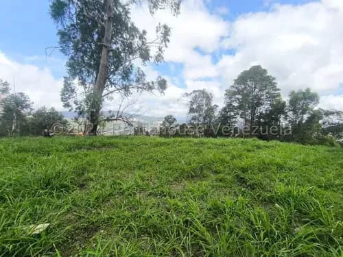 Terreno En Venta Urb. Los Naranjos Del Cafetal. 24-29006 Neyla Cedeño
