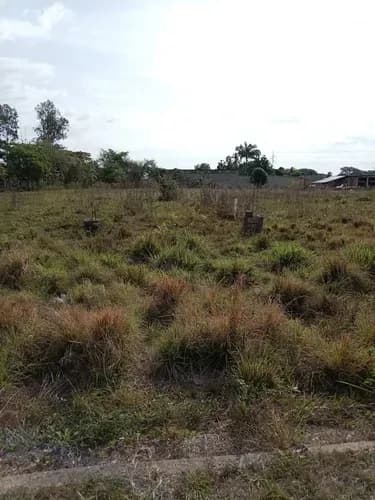 Terrenos Ubicado En Pradera De Tocuyito Solo Clientes Tiene: 2225 Mtrs2 -toma De Agua Blanca (agua De Pozo De La Comunidad) -toma De Agua Servida Están Marcado Sus Linderos *precio De Inversión: