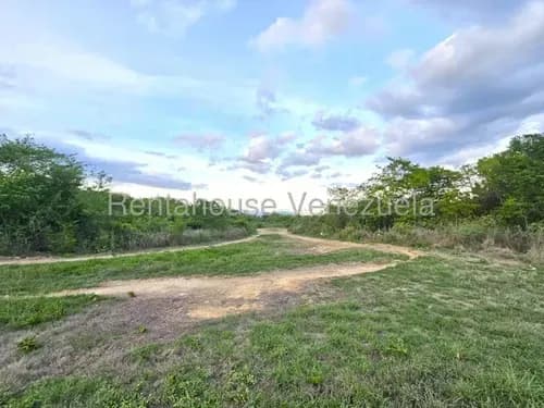 Lcda. Milagros Inmuebles Nazareth Terreno En Venta En Cabudare Lara Av Intercomunal Barquisimeto Acarigua. Codigo Del Inmueble 26-18455 Economica Residencial Economico Comercial