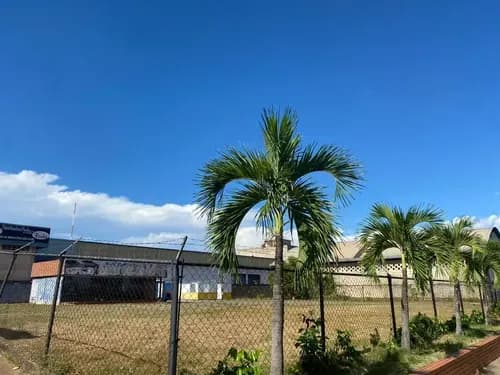 Inmobipiña Vende Terreno En Av. Paseo Caroni, Puerto Ordaz, Estado Bolivar Lp