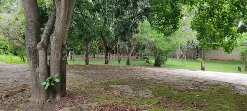Terreno Residencial En Venta Los Chorros Mls #24-655