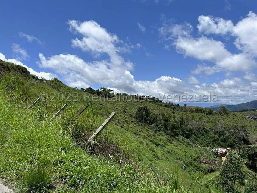 Terreno (Finca) en Venta en El Limon, Miranda