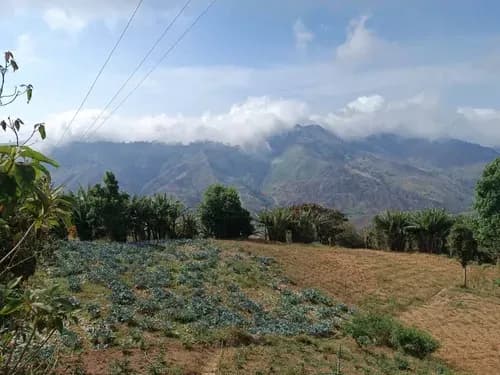 Terreno En Venta El Hondon