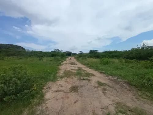 Sky Group Elegance Vende Terreno En Sector La Campiña Cabudare 48.000m2 De Parcela Totalmente Cerrado Con Paredes Perimetrales Porton Amplio Para Entrada Vehículo De Carga Pesada Y Maquinarias Poz