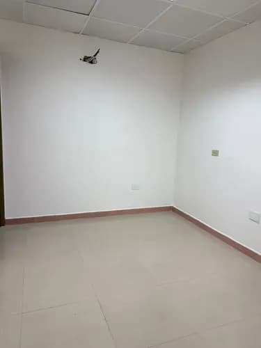 Maria Fuguet Ofrece Galpón En Alquiler Mañongo
