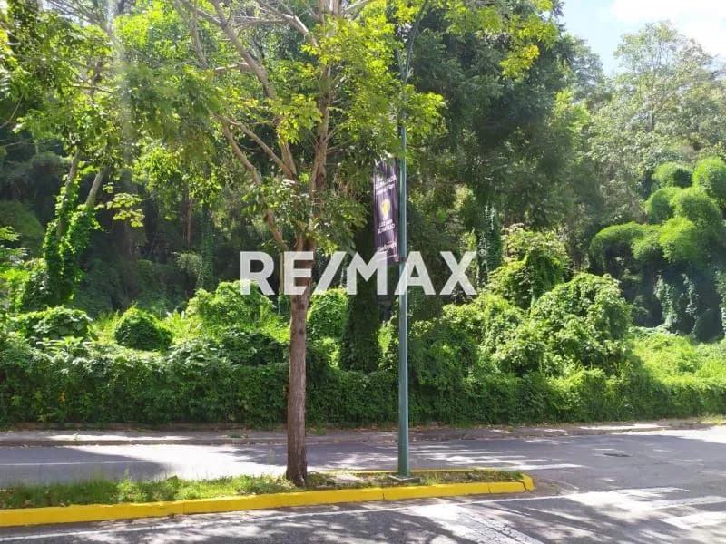 Venta Terreno Los Naranjos