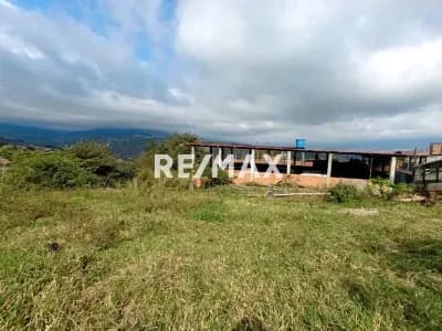SE VENDE TERRENO EN ZORCA , MATA DE GUADUA