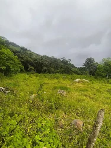 Venta De Terreno A Escasos Metros De Villa Chalet. La Laguna. Palmira. Guásimos. Ammp014