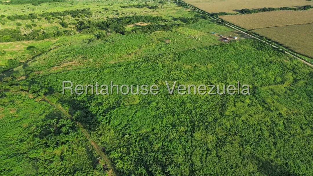 Terreno (Comercial) en Venta en Municipio Peña, Yaracuy