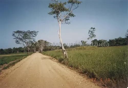 Terreno En Venta En Rio Chico Vp 24-21744