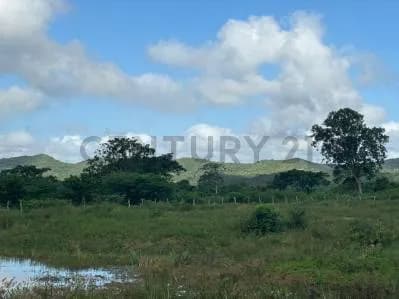 Se Vende Finca Productiva