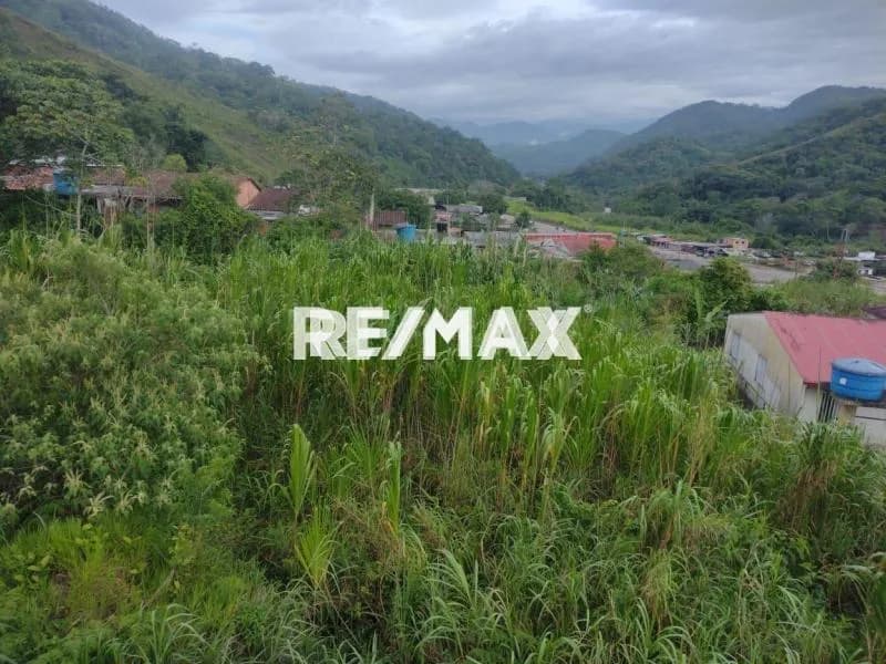 EN VENTA Lote de terreno con un área de 2,330 m2 Sábana larga Precio $12,000