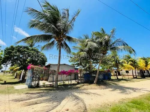 Terreno En Venta En Chichiriviche Edo Falcon 25-15948 Wjo
