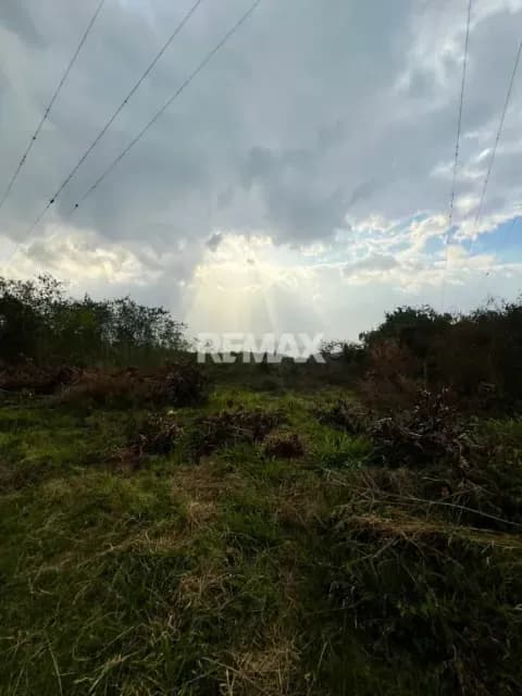 Terreno en venta ubicado en la autopista San Cristóbal - La Fría, más arriba de la estación de servicio Caneyes
