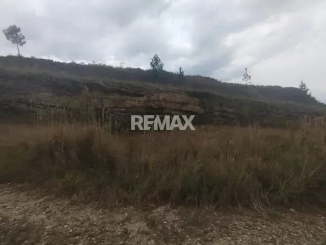 Terreno. Venta. Palo Gordo