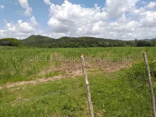 Yolmar Mendoza Vende Extenso Terreno A Campo Abierto En Cabudare, Ideal Para La Siembra O Cría De Animales. Cód. 25-3380