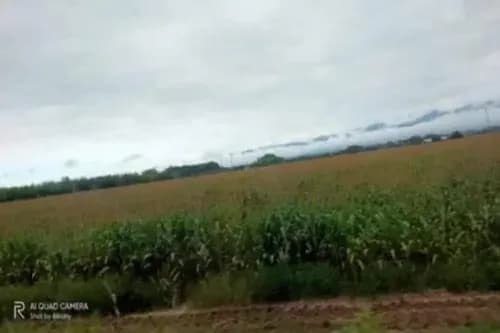 Venta De Terreno 178has, En Cúpira, Estado Miranda.
